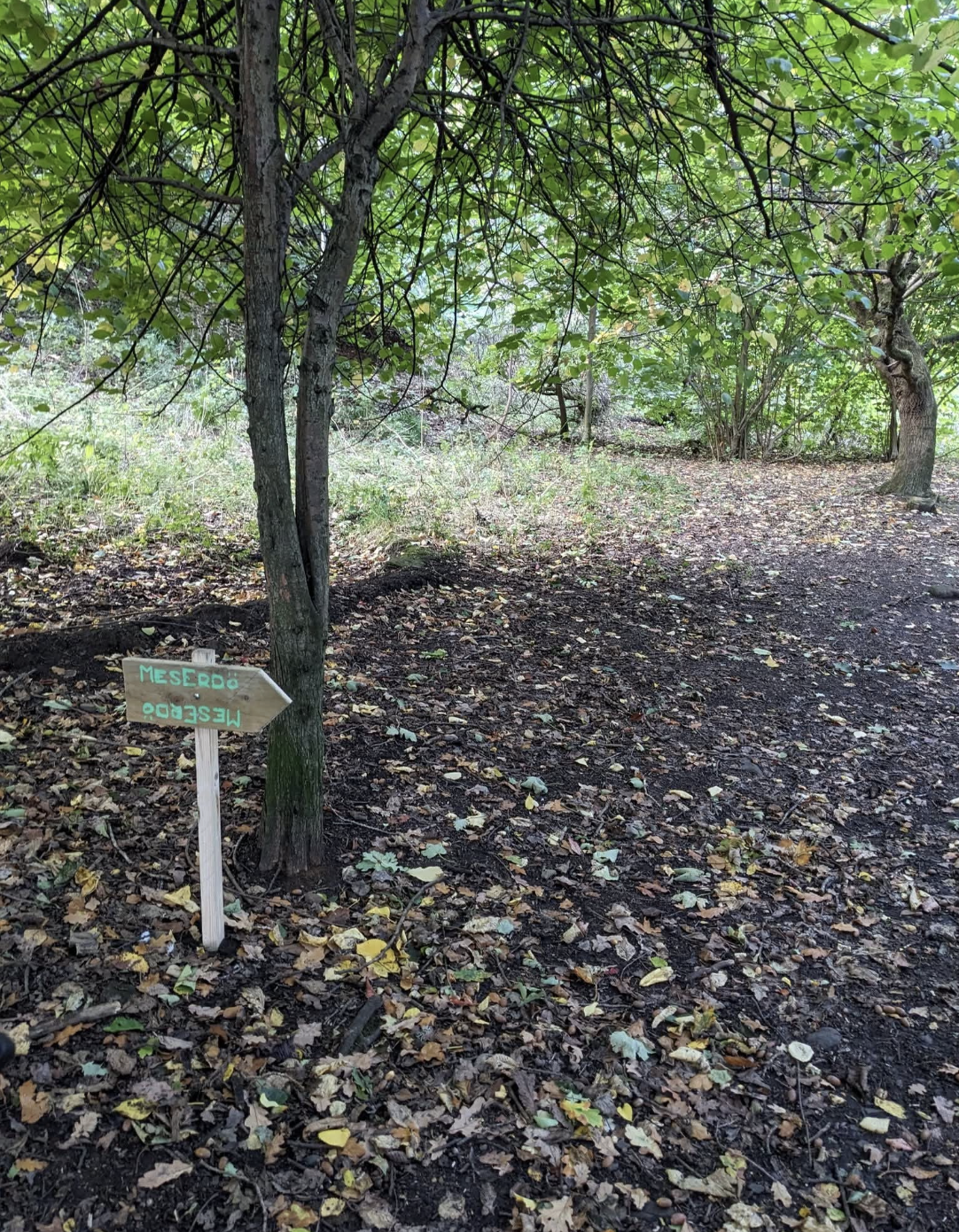 Aron Plowas - Pinguin mixed media